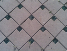 dhdhndh079