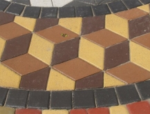 22